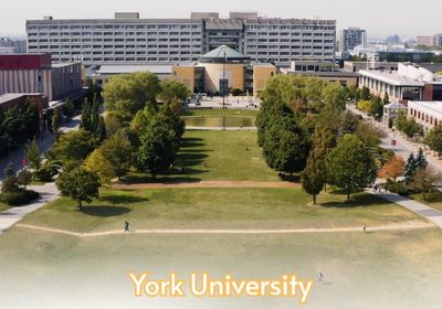 York Univeristy - Student Visa Consultant for Canada