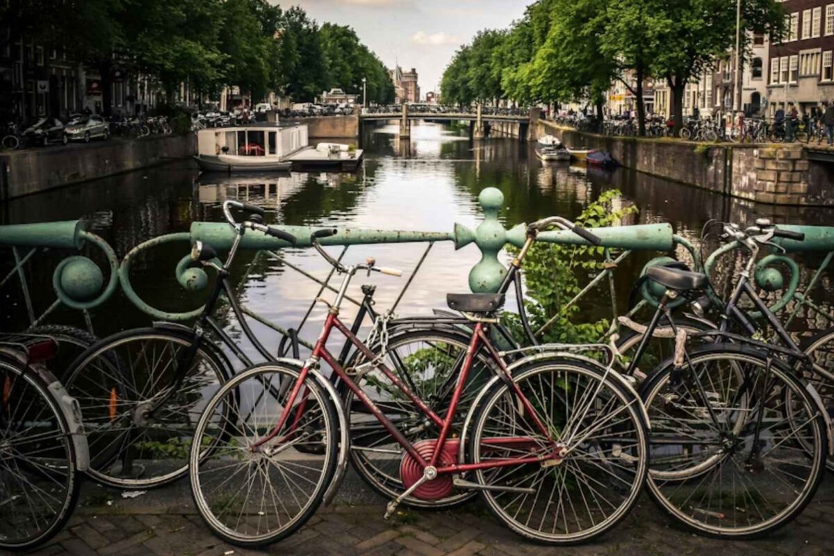 Study in Netherlands